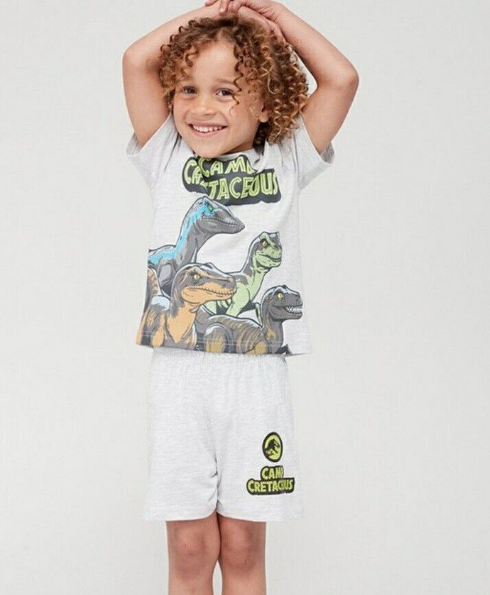 Boys Jurassic World Camp Cretace Grey Size 8-9yrs****Ref V541